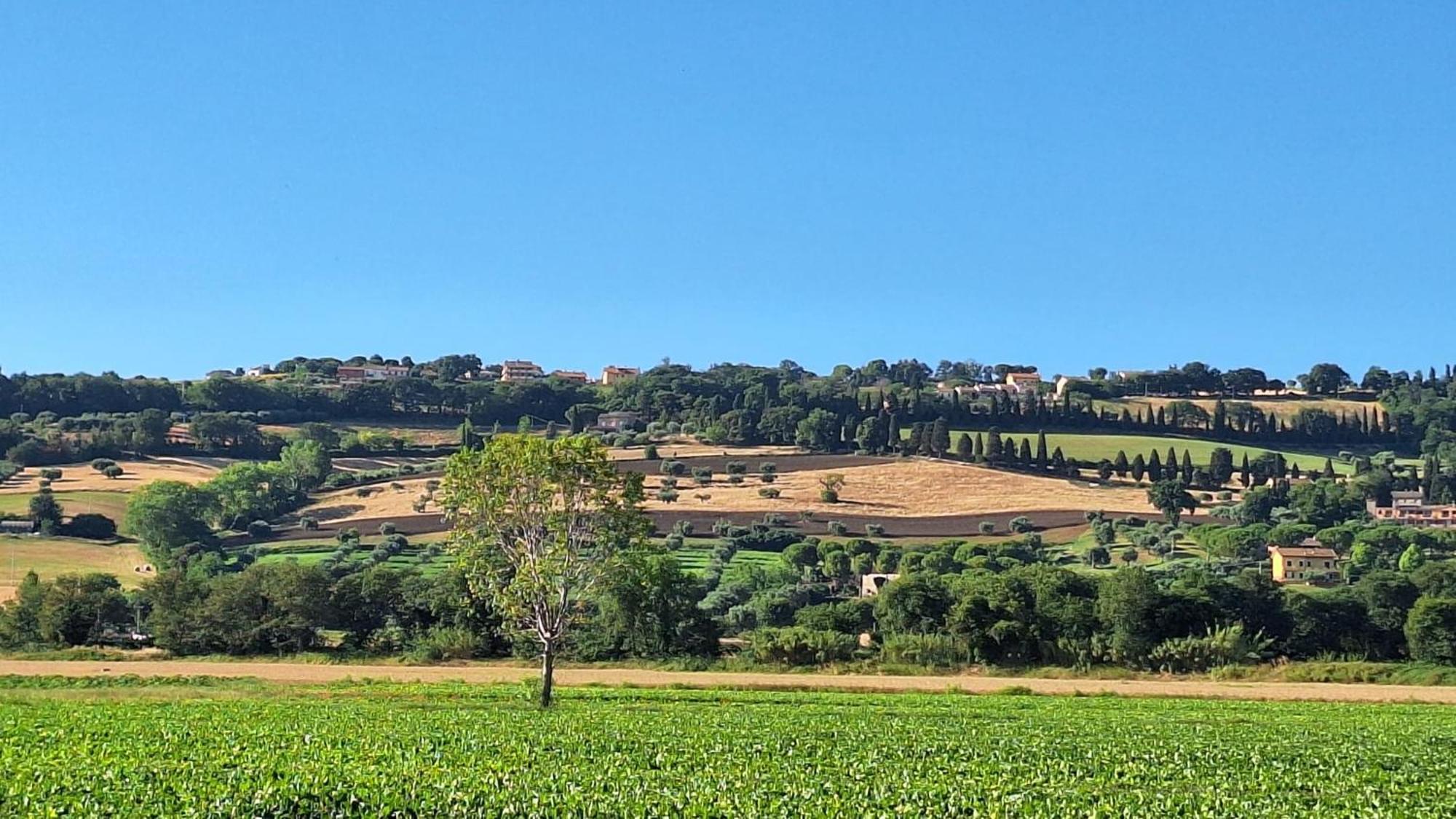 Nuovo Appartamento Bella Vista Vicino Al Mare Potenza Picena Exterior foto